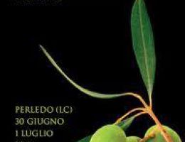 Immagine 1 di OLIO EXTRAVERGINE DI OLIVA LAGHI LOMBARDI D.O.P. DI QUALITA' SUPERIORE AGRI FESTORAZZI