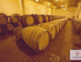 Immagine 3 di MARCHE ROSSO I.G.T. NULLIUS