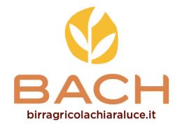 Immagine 2 di SONATA IN TRIO STILE TRIPEL