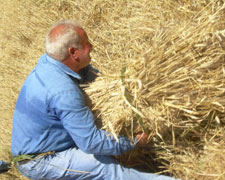 Immagine 3 di FUSILLI DI GRANO DURO MOLITO A PIETRA TRAFILATURA AL BRONZO ANTICO MULINO A PIETRA