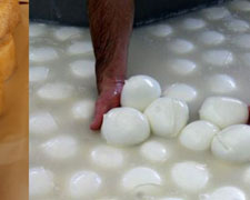 Immagine 1 di Cacioricotta