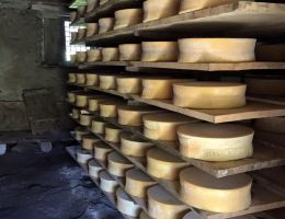 Immagine 2 di BITTO D.O.P. BIO VAL DI SONA ​​​​​​​CASEIFICIO LA TAIADA