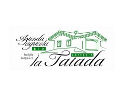 Immagine 5 di BITTO D.O.P. BIO VAL DI SONA ​​​​​​​CASEIFICIO LA TAIADA