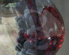 Immagine 2 di BENACO BRESCIANO MERLOT I.G.T. GARAGE BOTTURI