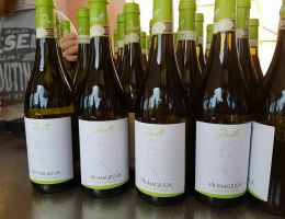 Immagine 1 di OFFIDA PECORINO D.O.C.G. VIGNA GIULIA