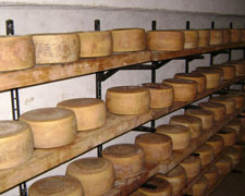 Immagine 1 di Pecorino Stagionato