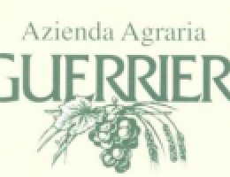 Immagine 5 di OLIO EXTRAVERGINE DI OLIVA CAPSULA ORO CULTIVAR LECCINO QUALITA' SUPERIORE