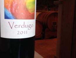 Immagine 3 di VENETO MERLOT I.G.T. VERDUGO MASIERO VITICOLTURA BIODINAMICA