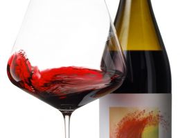 Immagine 1 di VENETO MERLOT I.G.T. VERDUGO MASIERO VITICOLTURA BIODINAMICA