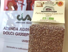 Immagine 3 di FARRO D.O.P. DI MONTELEONE DI SPOLETO
