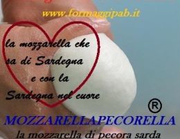 Immagine 2 di MOZZARELLAPECORELLA LA MOZZARELLA DI PECORA SARDA