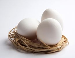 Immagine 1 di Uova da Gallina Livornese