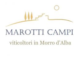 Immagine 3 di VERDICCHIO DEI CASTELLI DI JESI CLASSICO RISERVA D.O.C.G. SALMARIANO