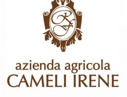 Immagine 5 di ROSSO MARCHE I.G.T. OZIO