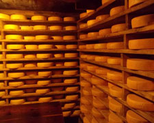 Immagine 1 di VARIETA' DI FORMAGGI DI CAPRA ANTICA LATTERIA DI BACENO