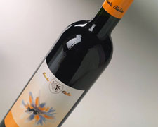 Immagine 1 di ERBALUCE DI CALUSO D.O.C.G. RAPA RAIRA SANTA CLELIA VINI