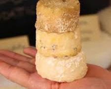 Immagine 1 di CACIOTTA DA LATTE DI PECORA