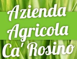 Immagine 2 di CACIOTTA DA LATTE DI PECORA