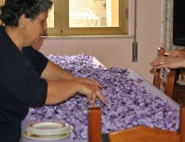 Immagine 1 di ZAFFERANO SANGAVINESE D.O.P.