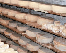 Immagine 1 di TOMA DI CAPRA CASEIFICIO CERESA AURELIO