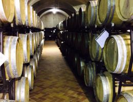 Immagine 4 di CONERO D.O.C.G. RISERVA PIGMENTO