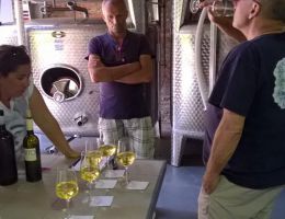 Immagine 3 di ORTO BIANCO DI VENEZIA