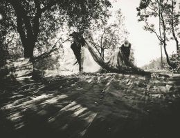 Immagine 2 di OLIO EXTRAVERGINE DI OLIVA GRAN CUVÉE UNICO DI CATEGORIA SUPERIORE UGO CALDERA