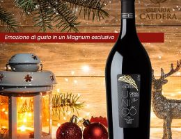 Immagine 5 di OLIO EXTRAVERGINE DI OLIVA GRAN CUVÉE UNICO DI CATEGORIA SUPERIORE UGO CALDERA
