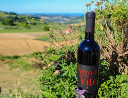 Immagine 4 di ROSSO PICENO D.O.C. RISERVA NERO DI VITE