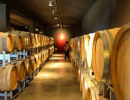 Immagine 3 di ROSSO PICENO D.O.C. RISERVA NERO DI VITE