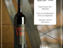 Immagine 2 di ROSSO PICENO D.O.C. RISERVA NERO DI VITE