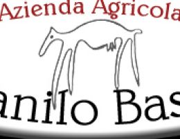 Immagine 2 di PECORINO DEL SASSO