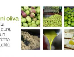 Immagine 4 di OLIO EXTRAVERGINE DI OLIVA BIO BLEND DI CATEGORIA SUPERIORE AGAPE