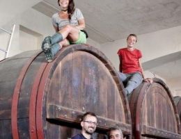 Immagine 2 di VERDICCHIO DEI CASTELLI DI JESI D.O.C. CLASSICO SUPERIORE CAPOVOLTO