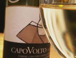 Immagine 3 di VERDICCHIO DEI CASTELLI DI JESI D.O.C. CLASSICO SUPERIORE CAPOVOLTO