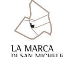 Immagine 4 di VERDICCHIO DEI CASTELLI DI JESI D.O.C. CLASSICO SUPERIORE CAPOVOLTO