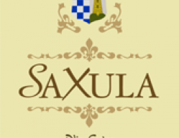 Immagine 1 di OLIO EXTRAVERGINE DI OLIVA TERRE TIBURTINE