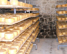 Immagine 1 di Pecorino Canestrato