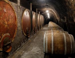 Immagine 4 di EST! EST!! EST!! DI MONTEFIASCONE D.O.C. POGGIO DEL CARDINALE