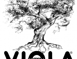 Immagine 2 di OLIO EXTRAVERGINE DI OLIVA BLEND DI CATEGORIA SUPERIORE COSTA DEL RIPARO BIO