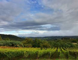 Immagine 3 di CHIANTI CLASSICO RISERVA D.O.C.G.