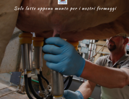 Immagine 5 di SQUACQUERONE ROMAGNA D.O.P.