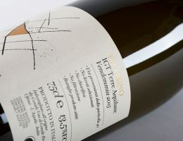 Immagine 1 di PECORINO I.G.T. TERRE AQUILANE PARTICELLA 417