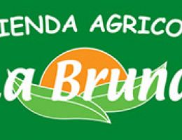 Immagine 2 di STRACCIATA DI VASTO