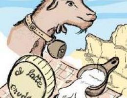 Immagine 1 di FORMAGGELLA DI CAPRA A LATTE CRUDO DELLA VALGRANDE CASEIFICIO CORTE MERINA