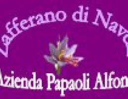 Immagine 2 di CECI E LEGUMI DI NAVELLI