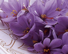 Immagine 1 di Zafferano d'Abruzzo D.O.P.