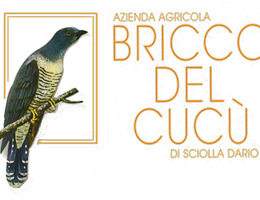 Immagine 1 di LANGHE D.O.C. BIANCO FAVORITA E SAUVIGNON LIVOR