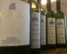 Immagine 1 di BARBERA D'ALBA D.O.C. BRIC DU LUV CA' VIOLA VINI