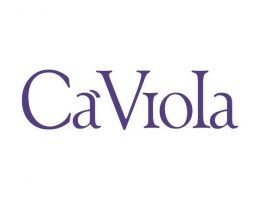 Immagine 2 di BARBERA D'ALBA D.O.C. BRIC DU LUV CA' VIOLA VINI